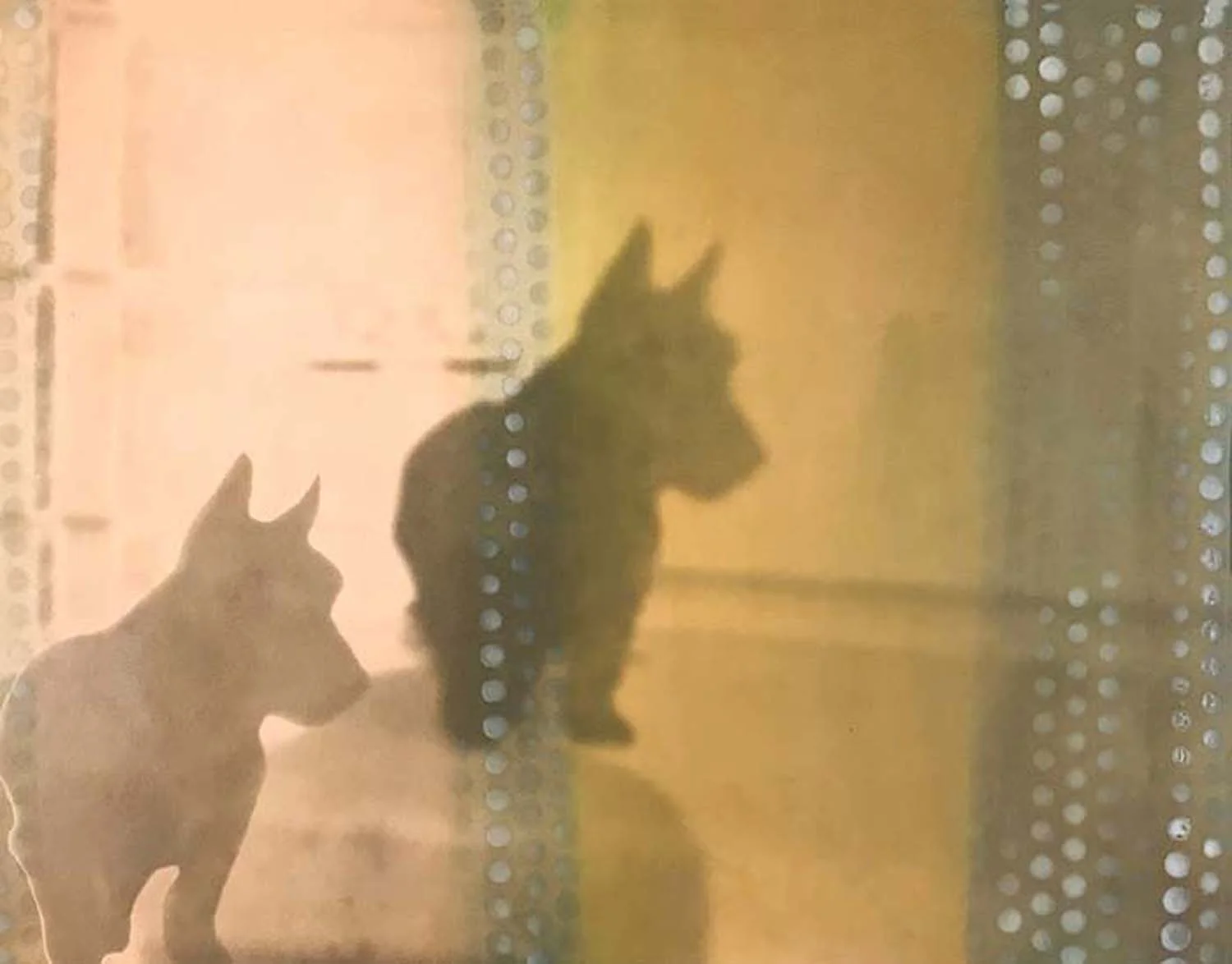 Shadow, from the series Nothing comes from Nothing