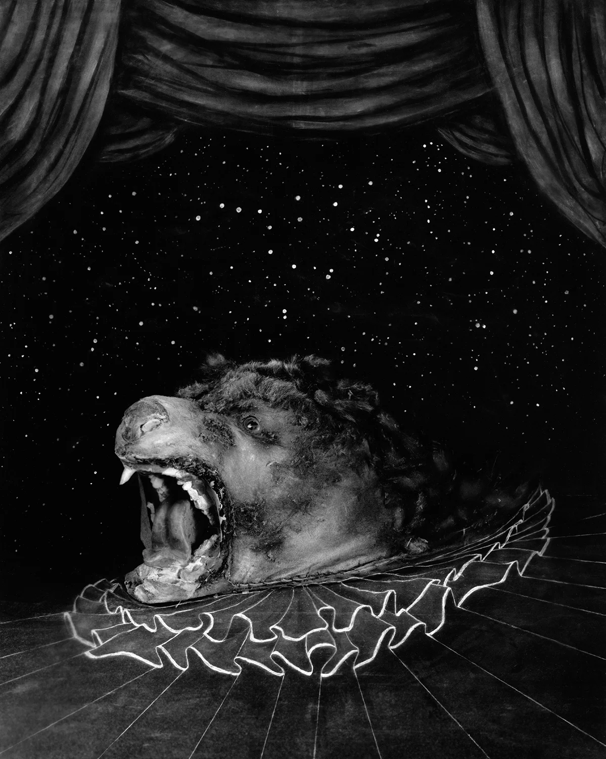 Ursa Major