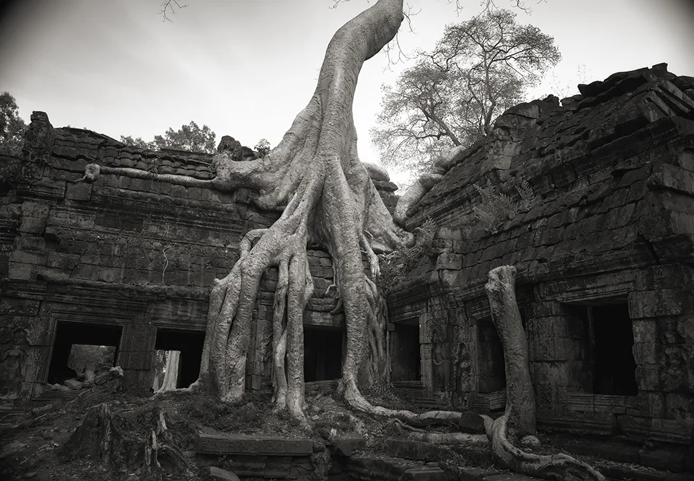 Cambodia Temple, 1993