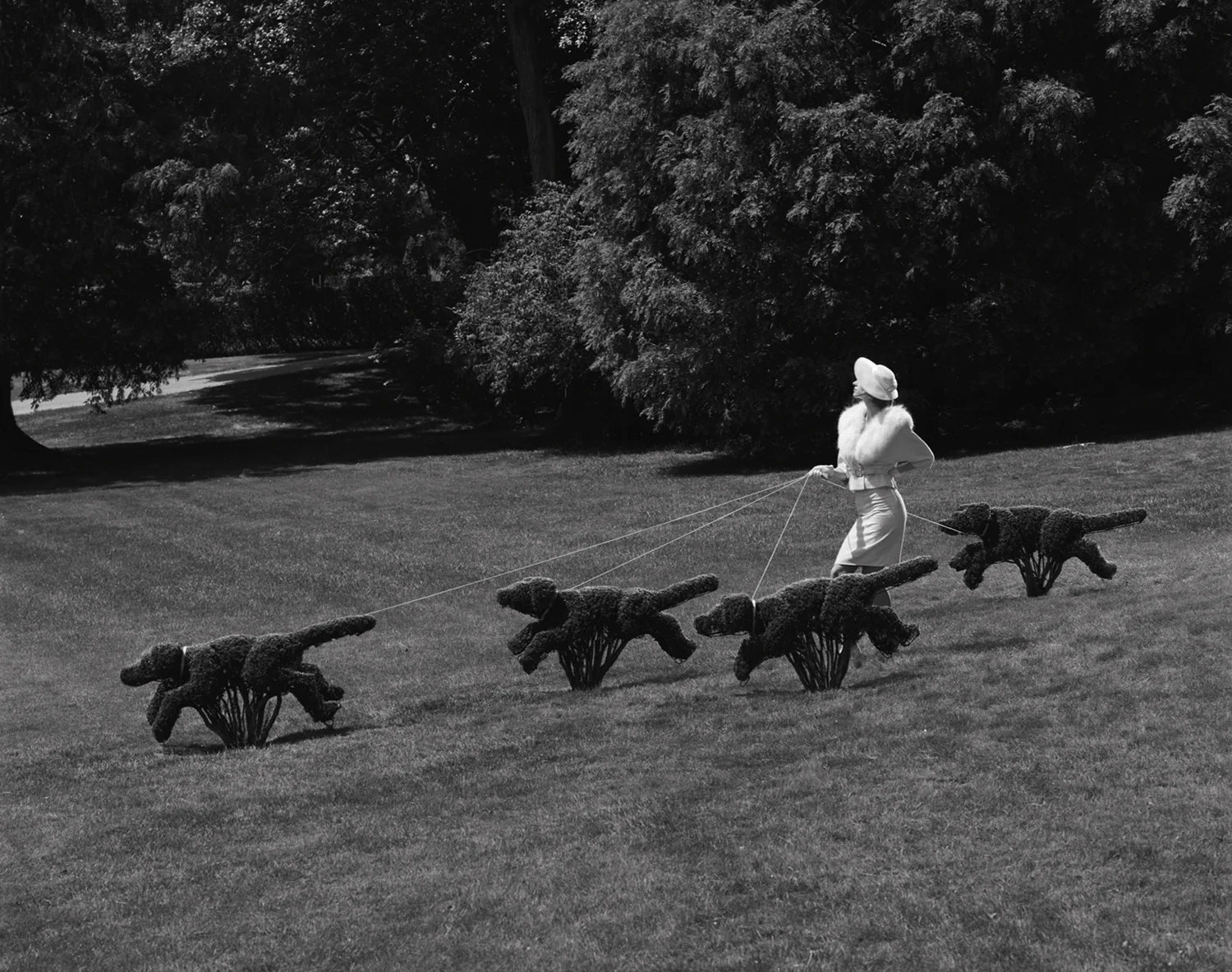 A Walk In The Park