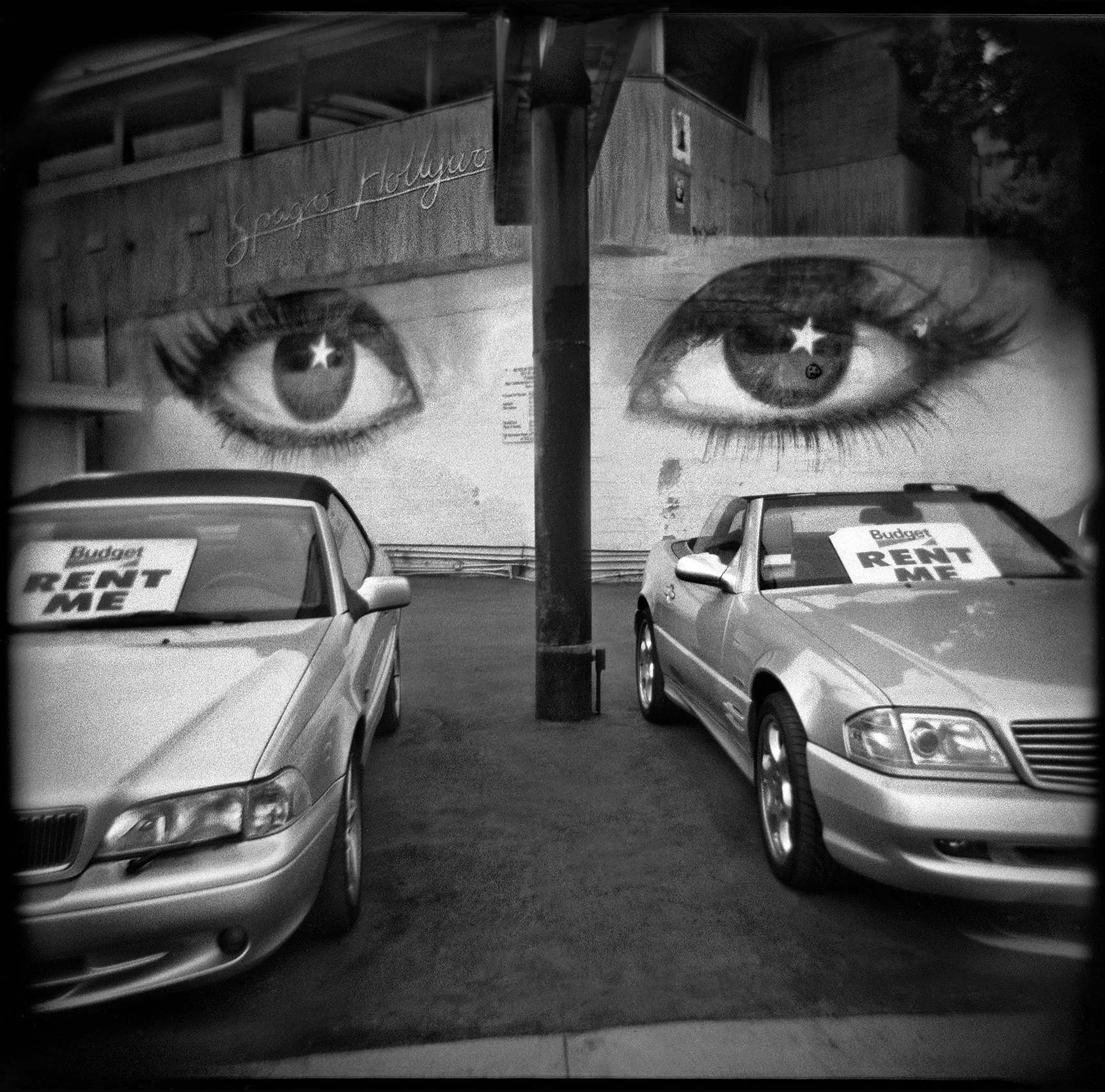 From Sunshine & Noir
