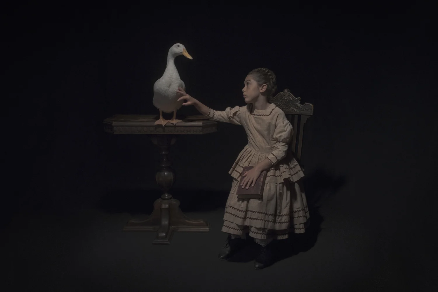 The Waterfowl, from the Dramatis Personae collection