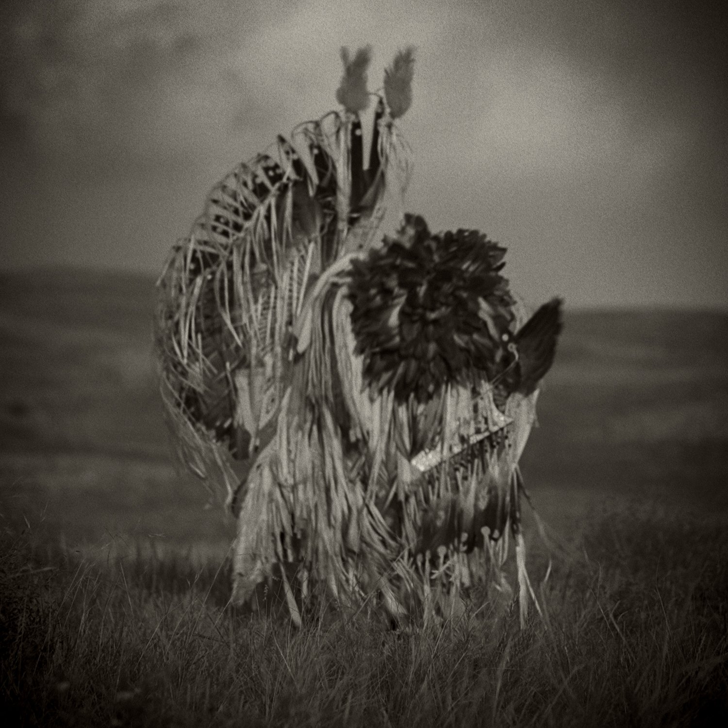 Dog Soldier, Lakota Nation, July 1995