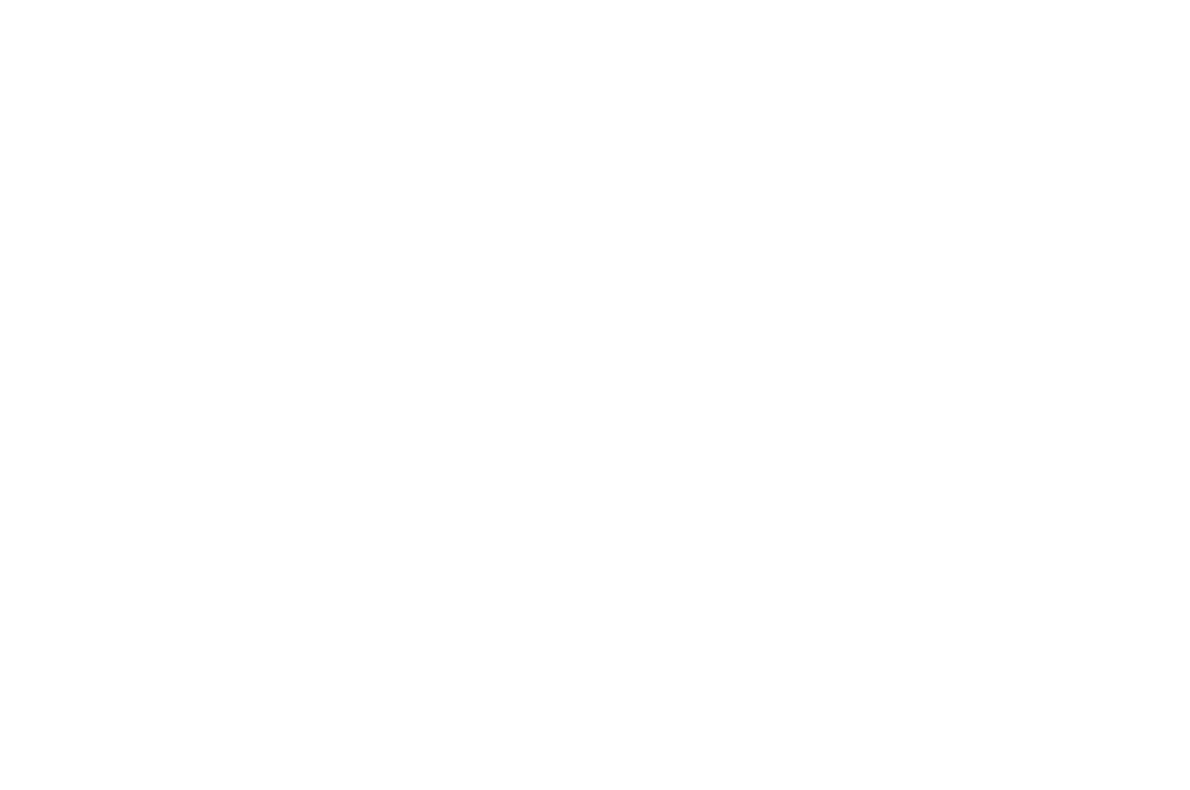 OFFICIAL SELECTION - New York City Independent Film Festival - 2020.png