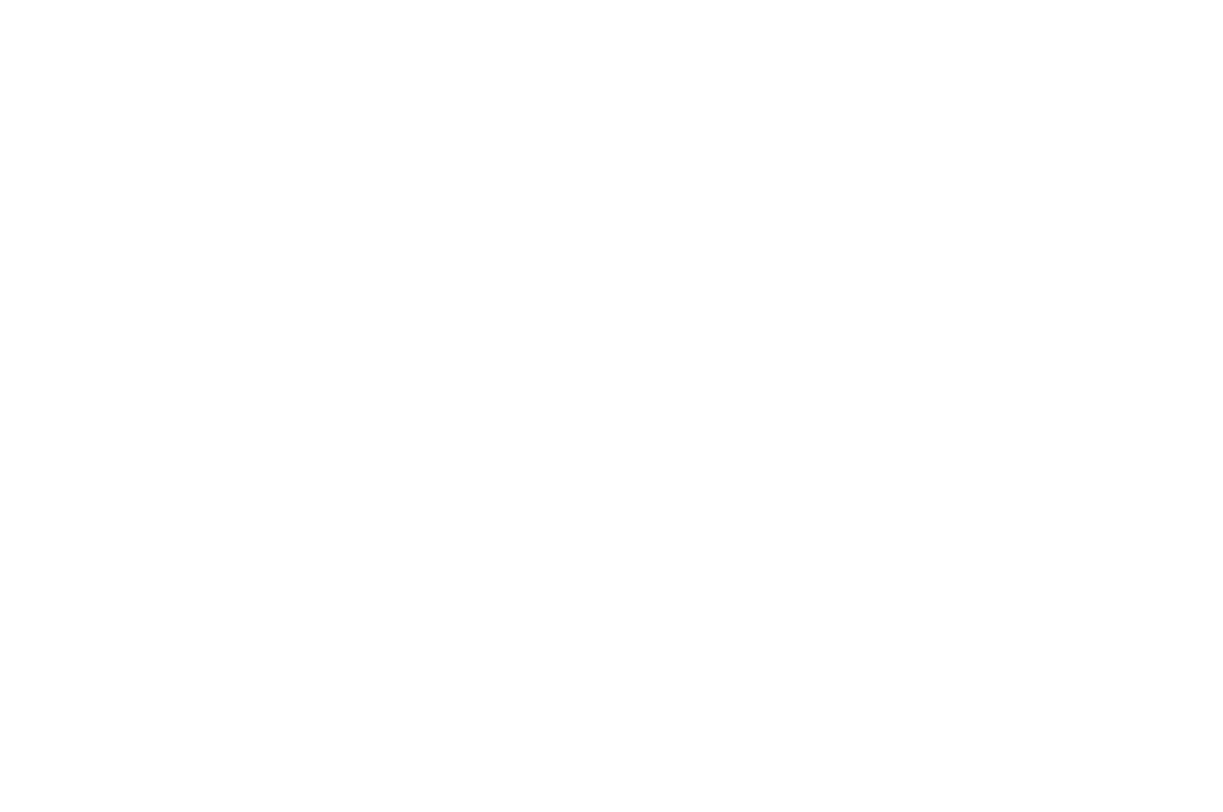 OFFICIAL SELECTION - Manhattan Film Festival - 2020.png