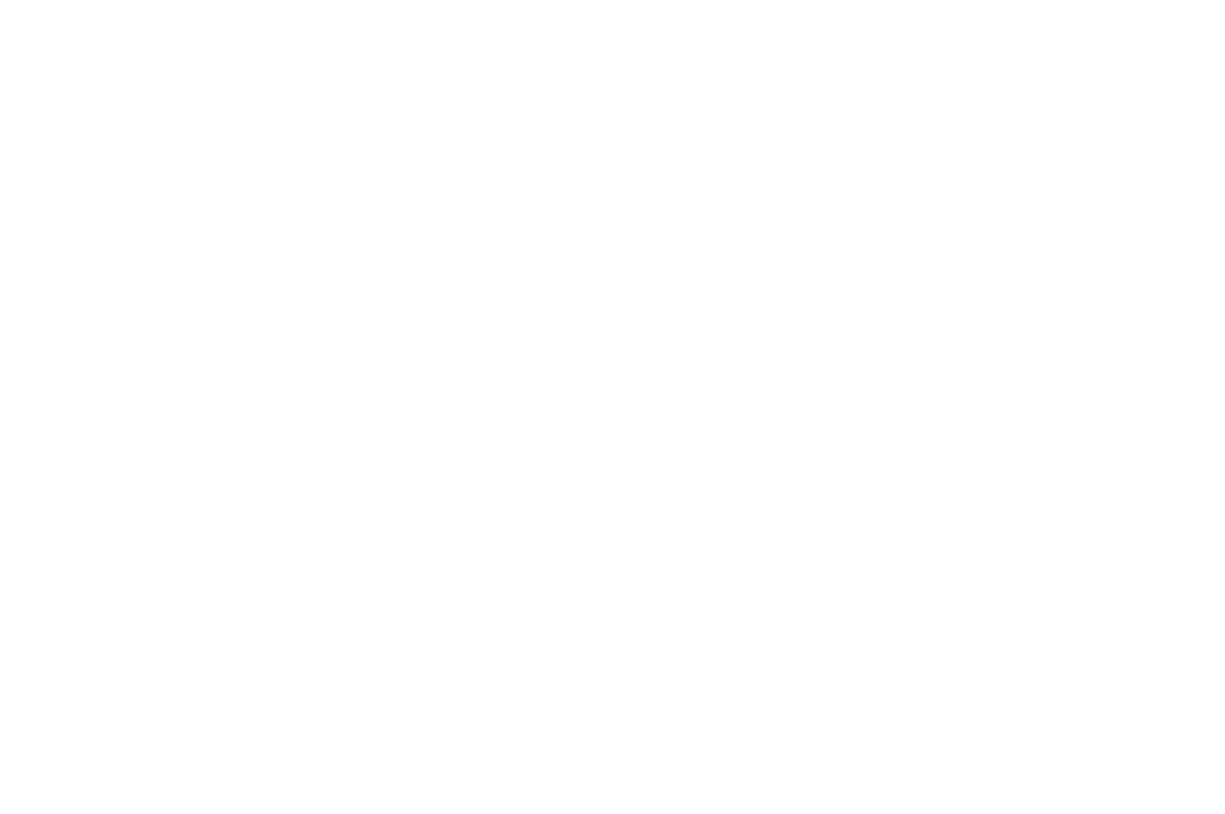 OFFICIAL SELECTION - Rome Independent Prisma Awards - 2019.png
