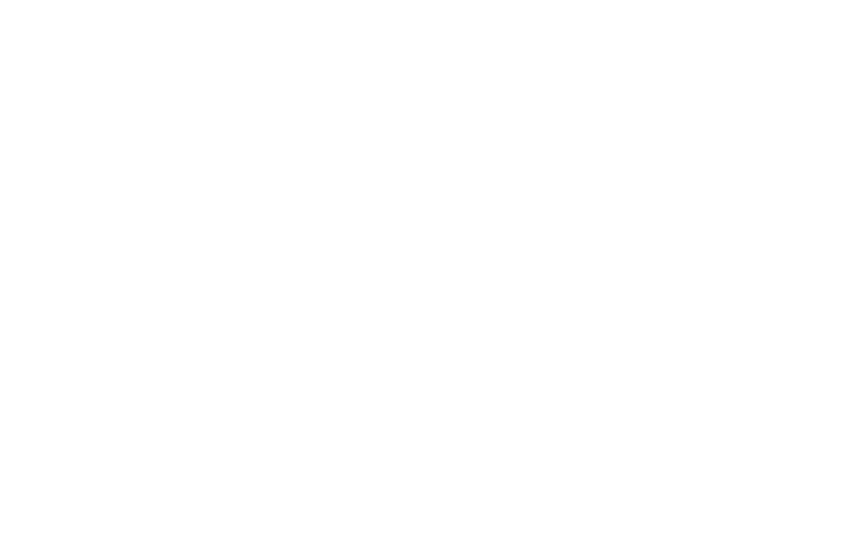 OFFICIAL SELECTION - Art is Alive Film Festival - 2020.png