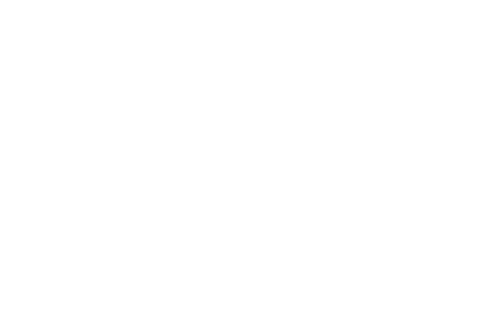 OFFICIAL SELECTION - New York Lift-Off Film Festival - 2020.png
