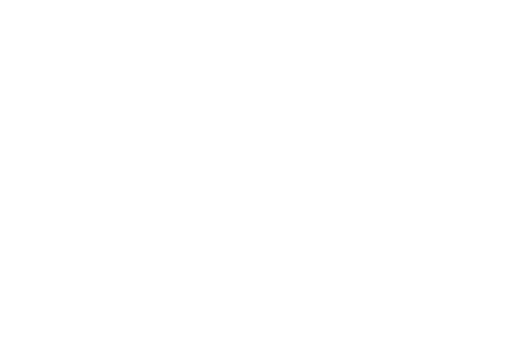 OFFICIAL SELECTION - Skyline Indie Film Fest - 2020.png