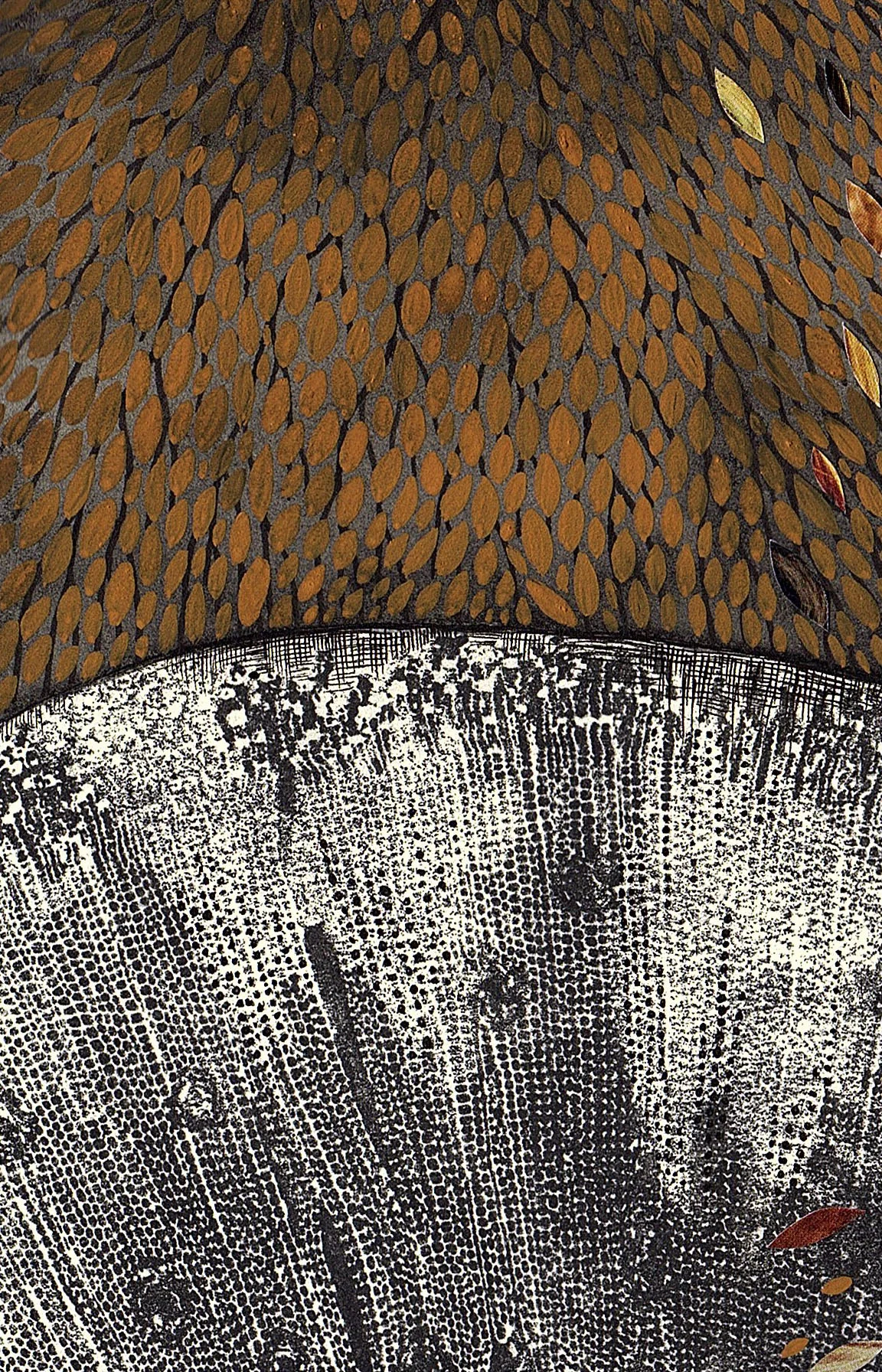 NEAR NORTHEAST 'TRUE MIRROR' ALBUM & 'INDALI VARIATIONS 1-8' CASSETTE SINGLE RELEASED TODAY