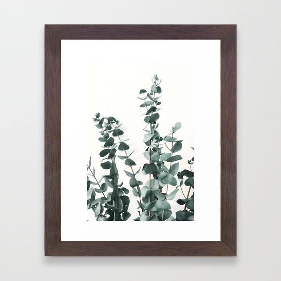  Framed Art Print, Eucalyptus 