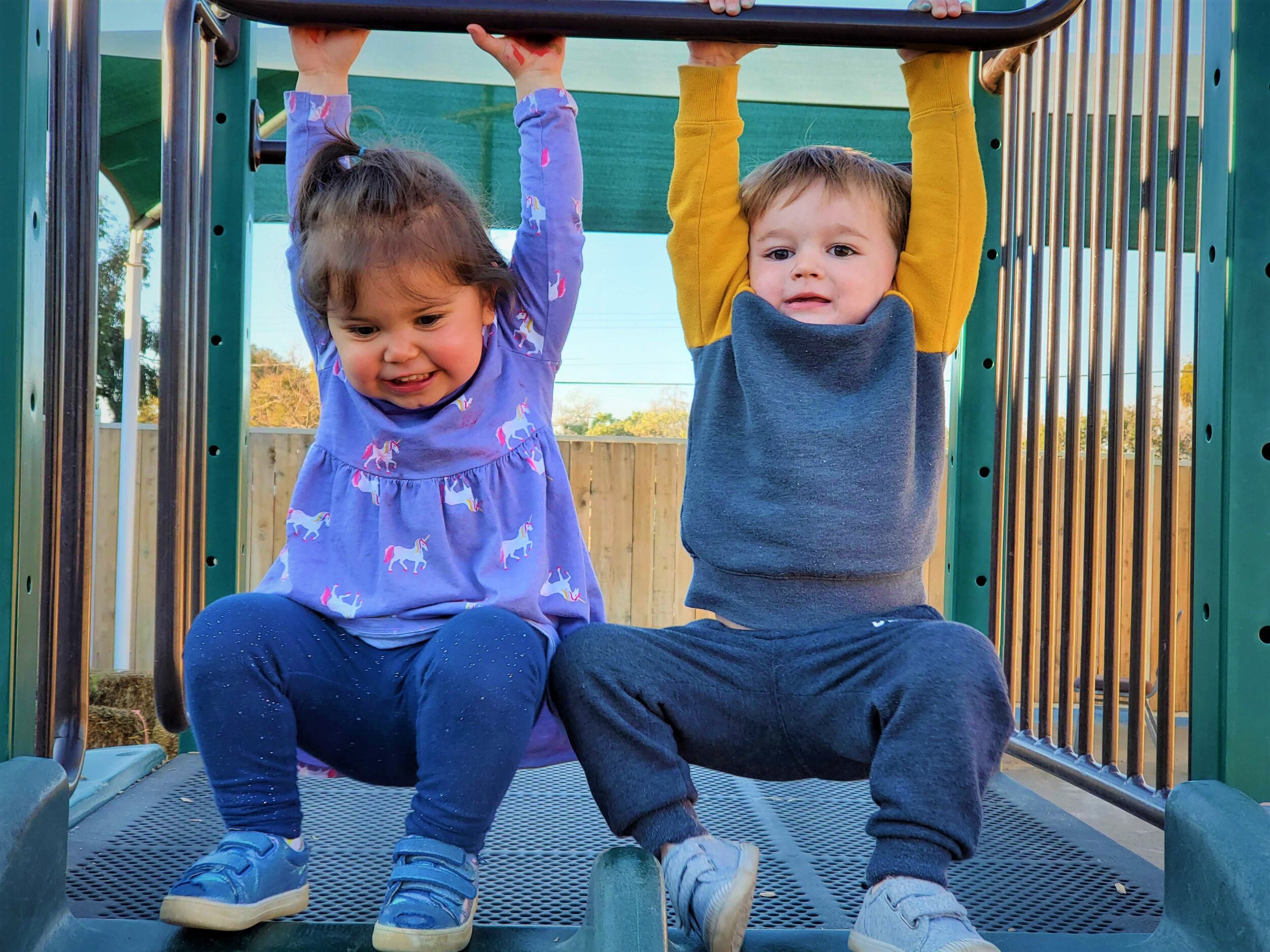 Help with child development coursework