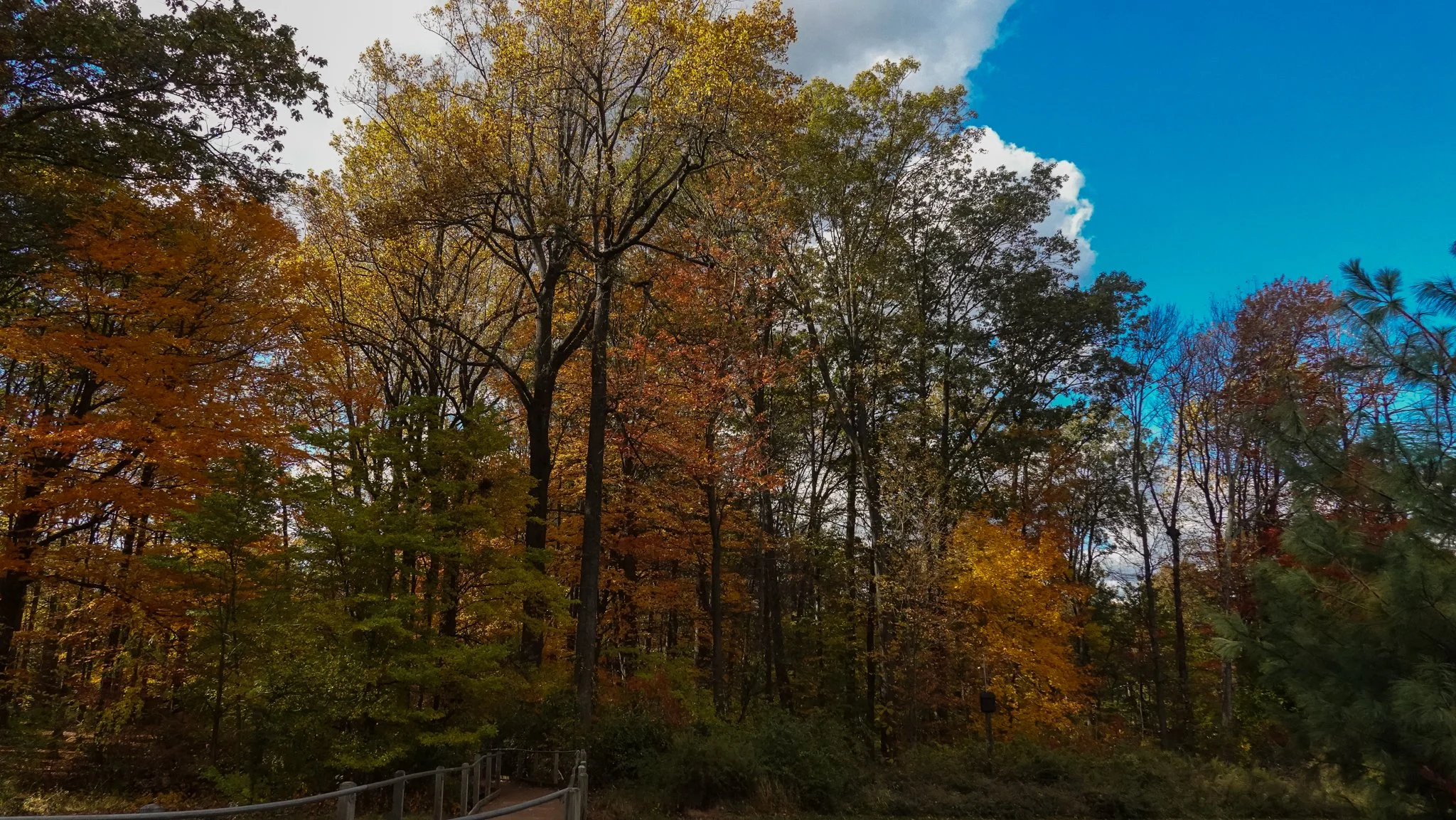 Nature Walk-14.jpg