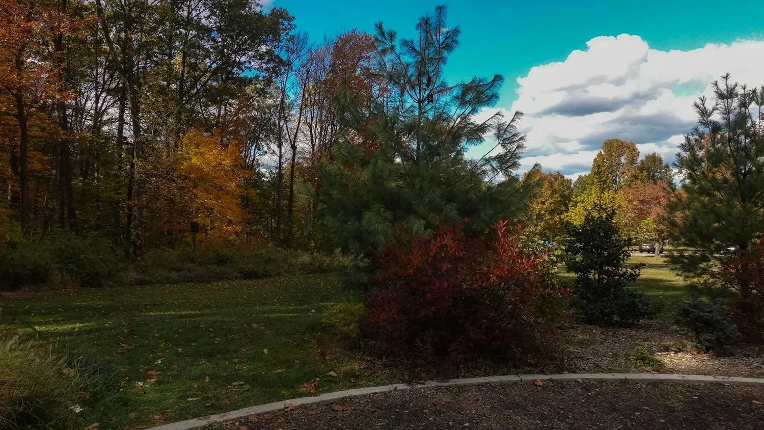 Life and a Curveball