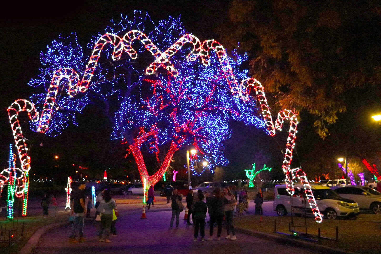 Farmers-Branch_Tree-Lighting2_Farmers-Branch.jpg