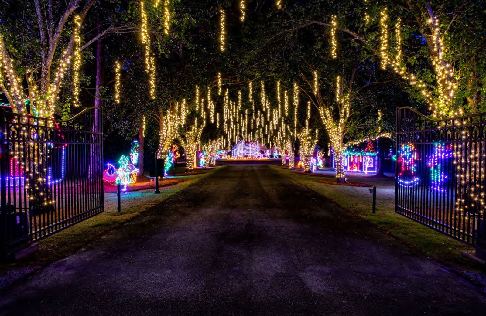 2019---Christmas-in-Lights-photos-5.jpg