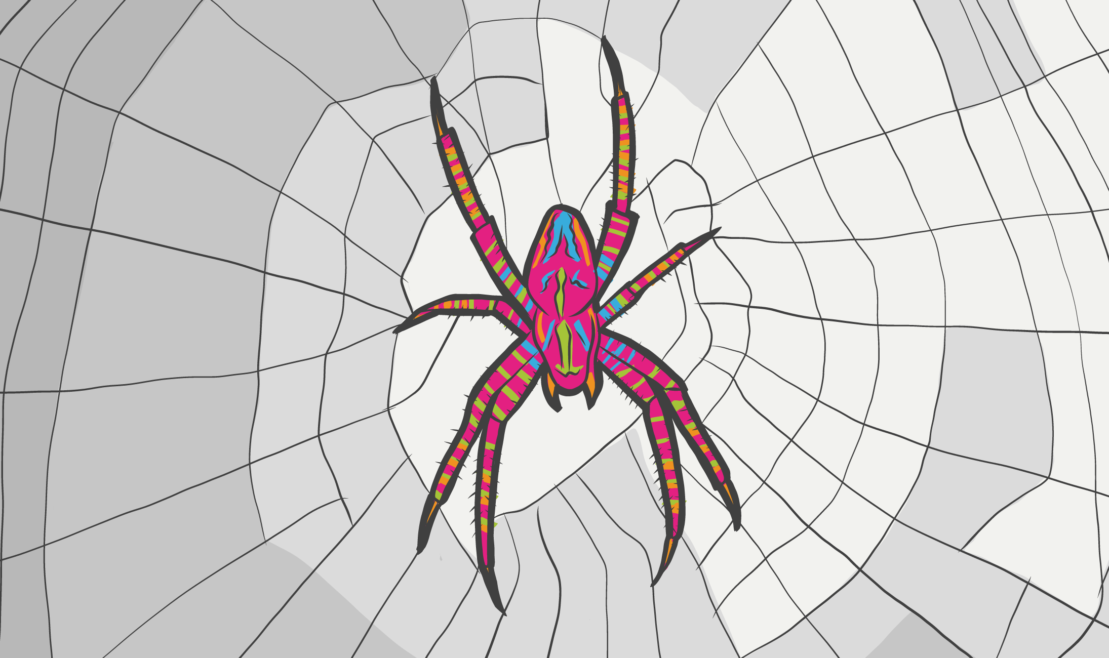 SECTION_WEB.png