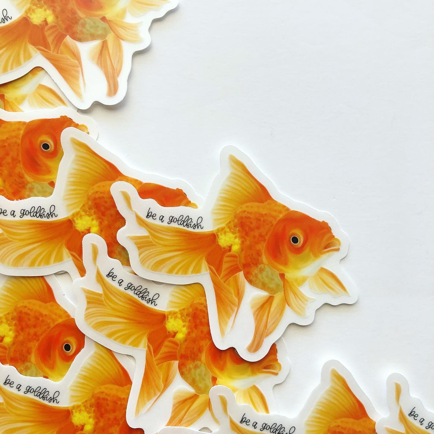 Ted Lasso was nominated for several Emmys today- celebrate by grabbing some stickers, a print, or the Ted Lasso combo pack! 🎉

#tedlasso #beagoldfish #goldfish #emmynominations #lasso #fish #fishsticker #swimming #art #stickerart #etsyshop #handlett
