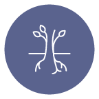 Assessments_Icon_1.png