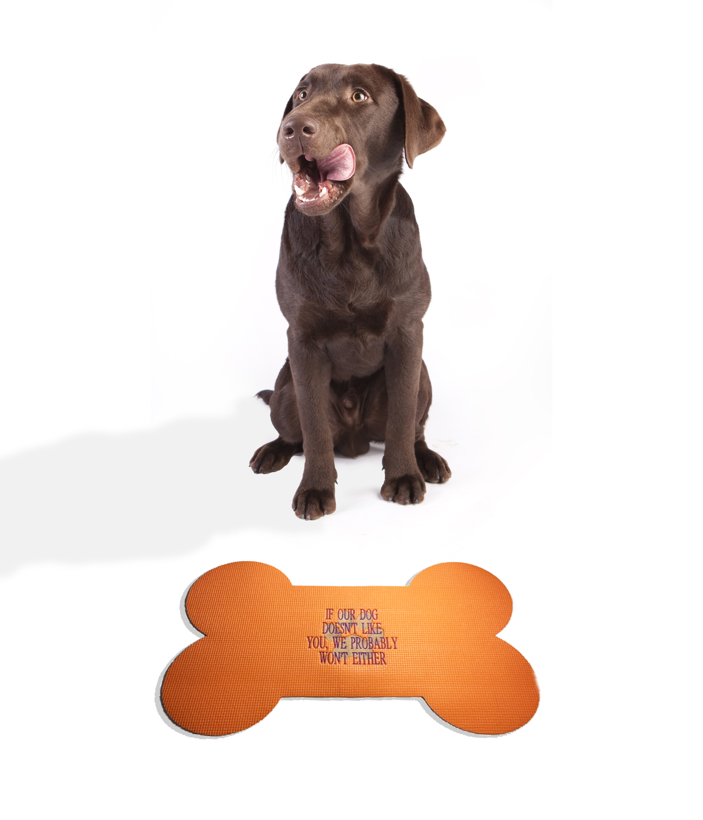 doggie-dining-mat-for-machine-embroidery.png