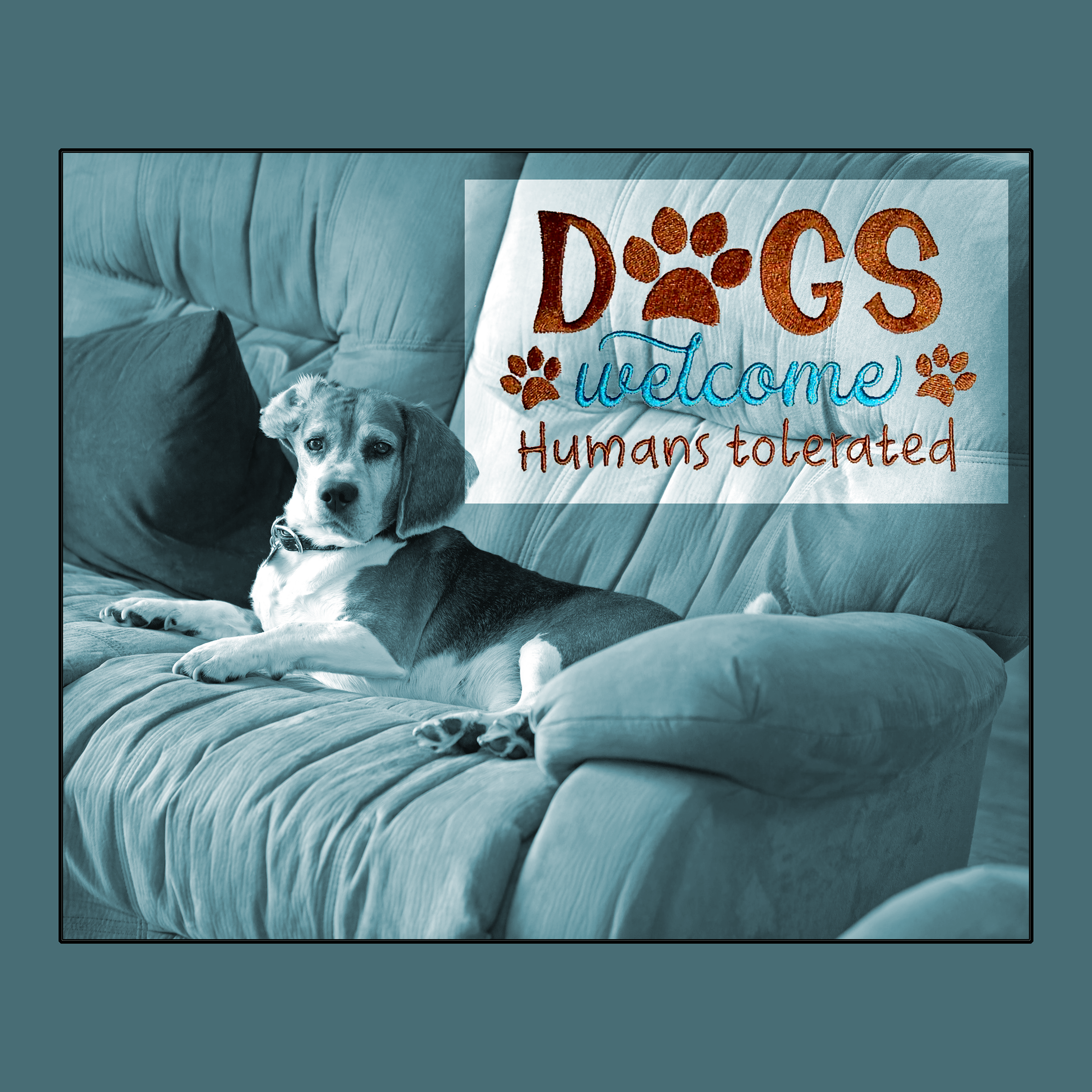 Dogs Welcome.png