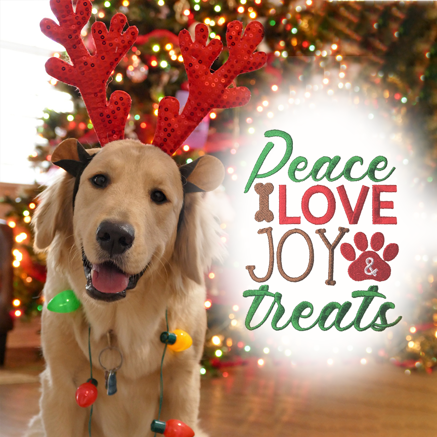 dog-christmas-quote-embroidery-design.png