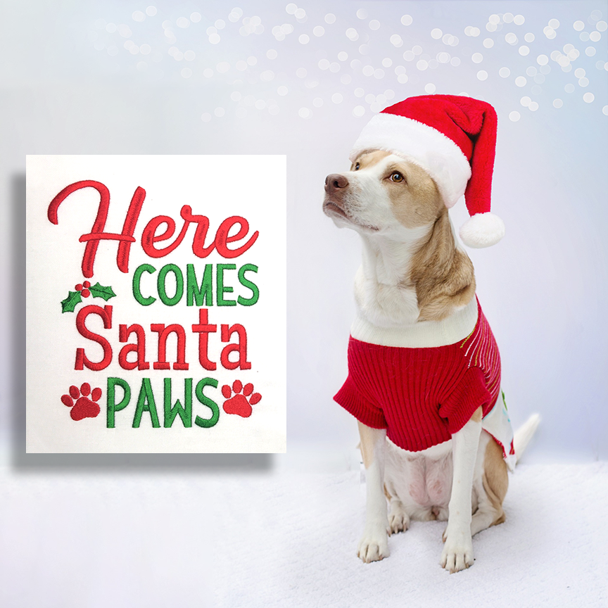 santa-paws-machine-embroidery-design.png