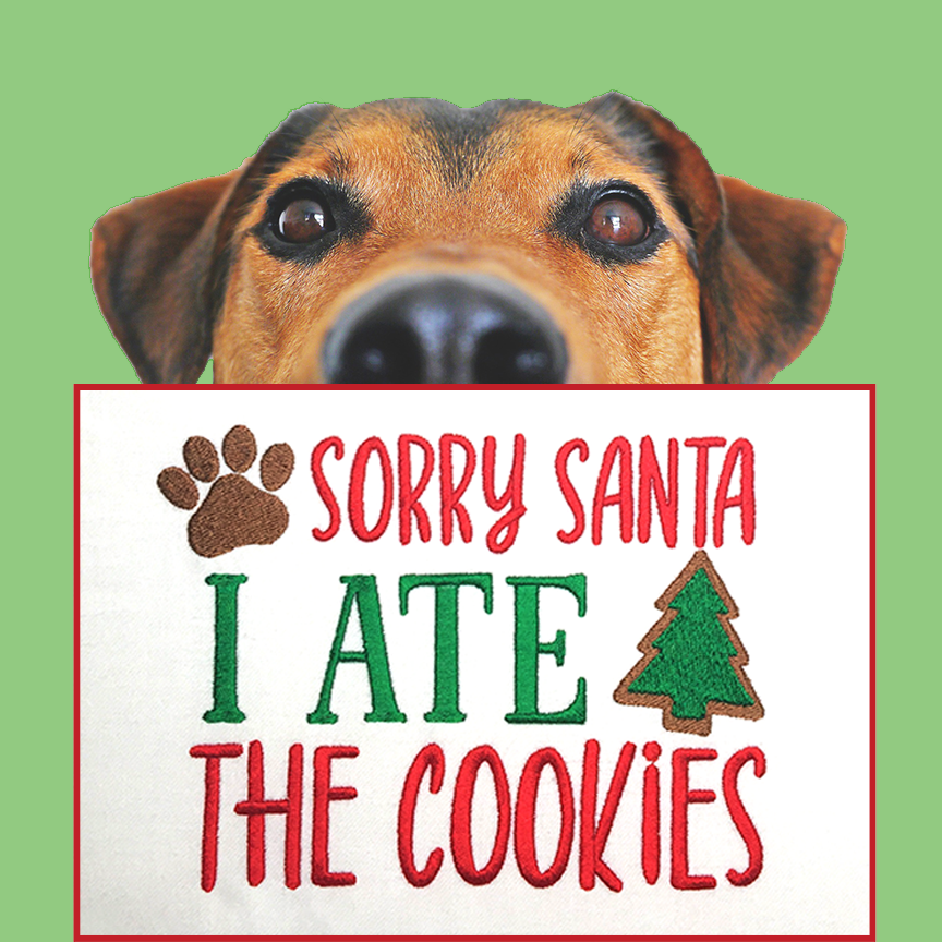 sorry-santa-embroidery-design.png
