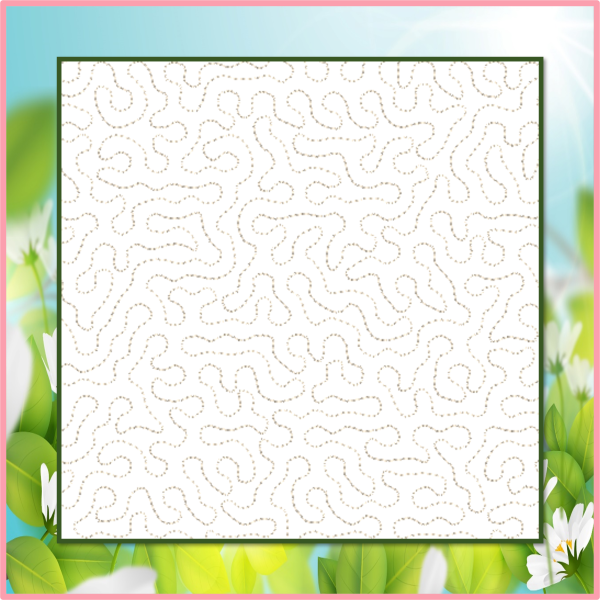 1721B-STPL QLT BLK-4BB-2.png