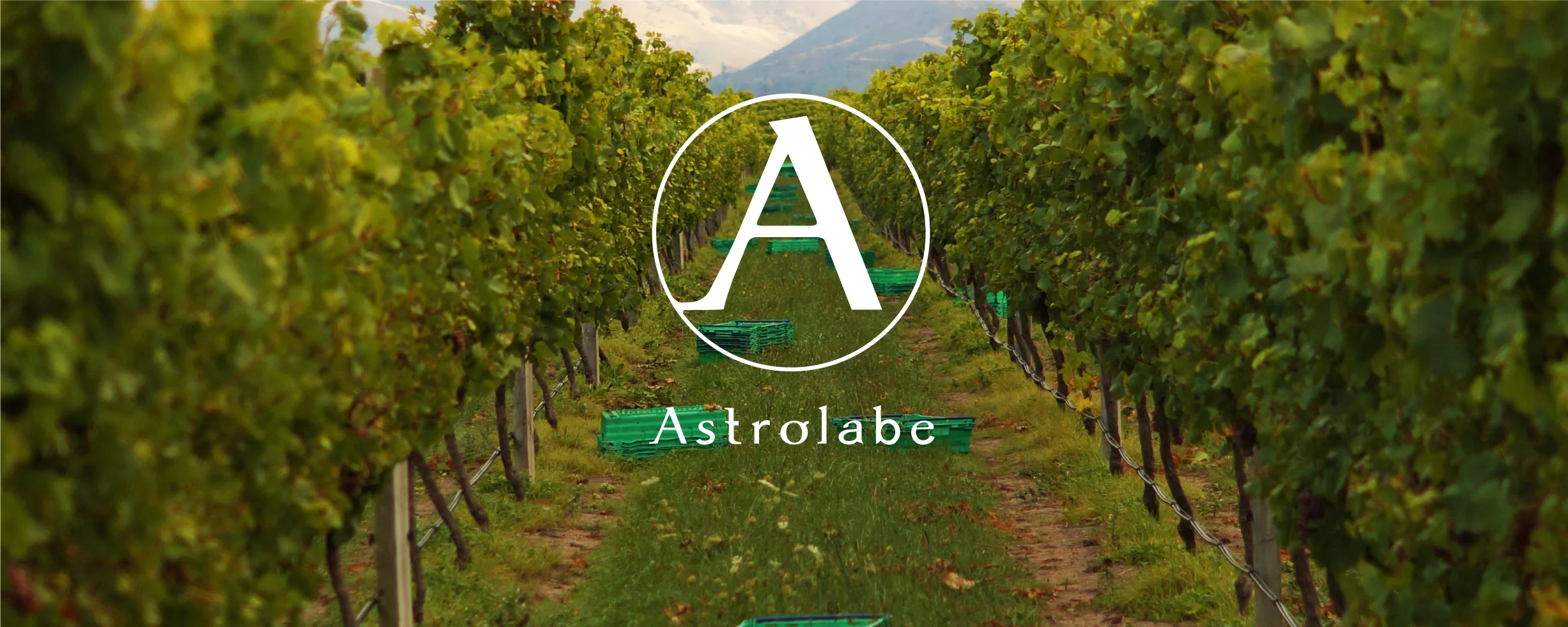 ASTROLABE WINES MARLBOROUGH, NZ Named after the ship that in 1827 charted and explored the Marlborough Coast, Astrolabe is a personal project for winemaker Simon Waghorn and his wife, Jane. Astrolabe produces a range of wines that express the purity and intensity of fruit flavours naturally afforded by the climate and soils of the Marlborough region. All grapes are sourced from unique Marlborough sites, carefully chosen to add complexity and completeness in the wines. Simon is fascinated by the distinctive qualities of the Marlborough sub-regions, whether bottled alone or blended as part of the Marlborough classic. All Simon’s skill and experience combine to capture the essence of Marlborough in wines of purity, focus and elegance.