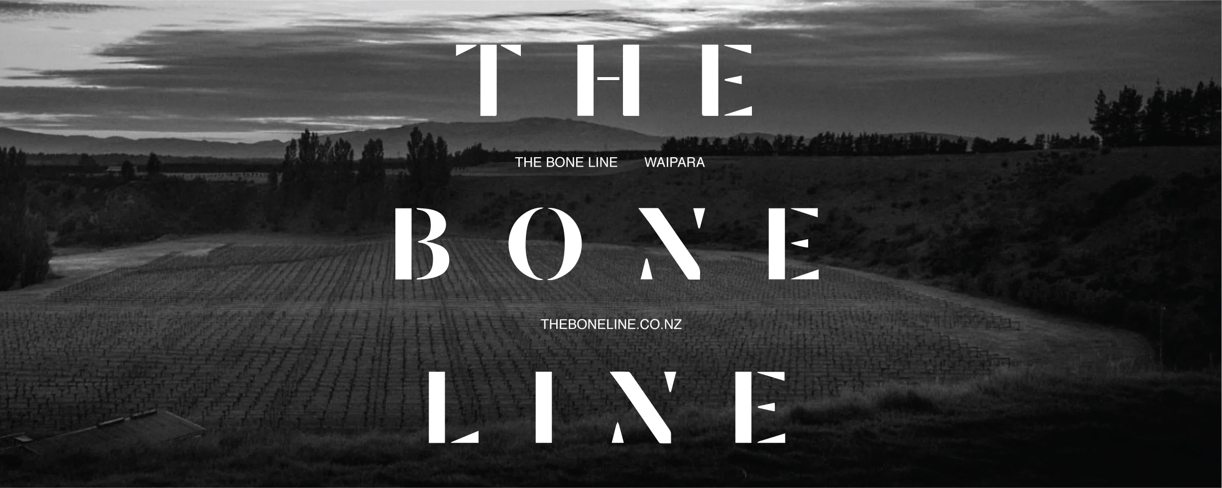 THE BONE LINE WAIPARA, NZ The Boneline is situated deep in the Waipara Valley, snuggled in the lee of the Teviotdale hills that provide protection from cool easterly winds but open to warming north west winds. The protective Southern Alps ensure low rainfall, abundant sunshine and often very warm summers, helped by the famed hot, dry nor’wester winds, though cooling sea breezes and the occasional cold southerly fronts temper this. Drought risk is mitigated by irrigation. Canterbury’s long dry autumns coupled to good diurnal variance help provide phenolic ripeness, complexity and a variety of styles. Named in reference to the K-T Boundary line which runs through the Waipara Valley near their vineyard, each of the wines made by The Bone Line features dinosaur fossils found in the area. Dating back as far as 65 million years, these serve as evidence of the global catastrophe of an asteroid impact on the earth and the end of the Mesozoic Era and the extinction of the dinosaurs. These bones represent the tangible connection each wine has with the land where the fruit is grown, old vines and the family partnership of Tutton Sienko & Hill’s growing experience.