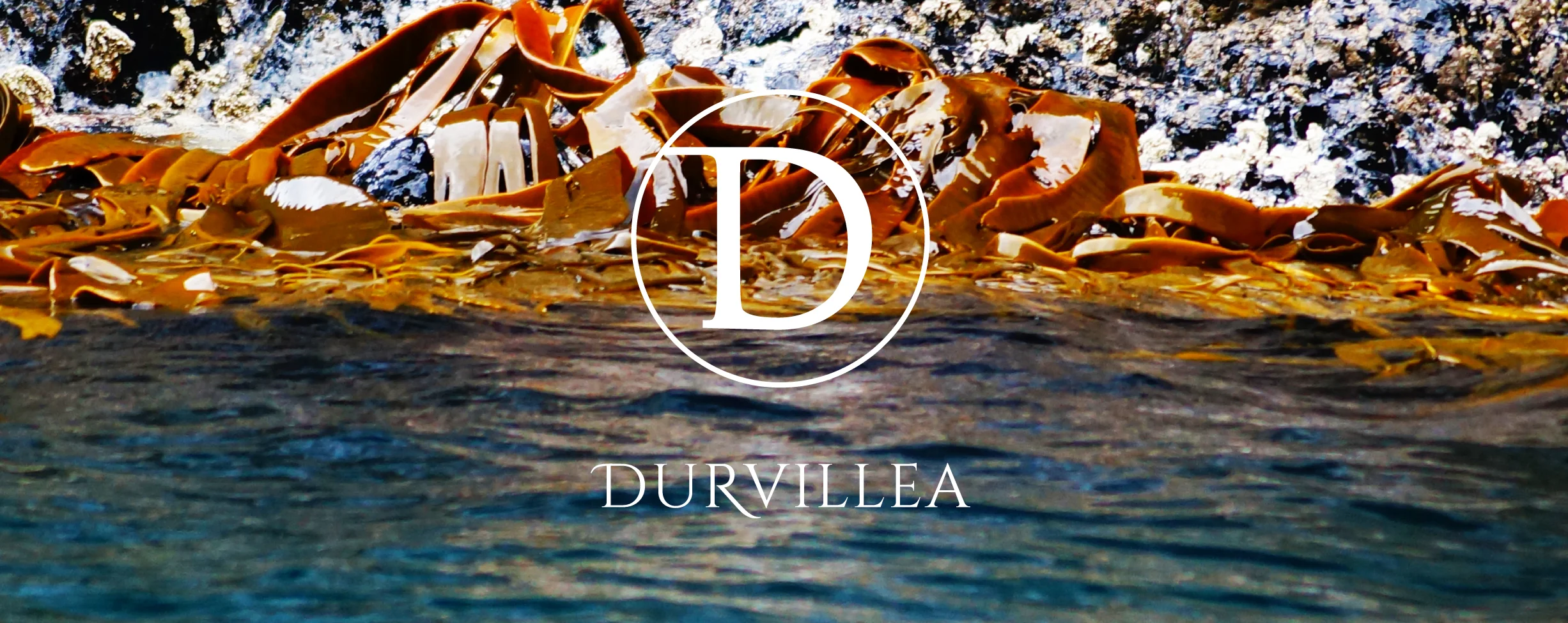 DURVILLEA WINES MARLBOROUGH, NZ All along our shores, holding fast to the rocks at low tide is the seaweed, 'Durvillea'. Named after the Captain of L'Astrolabe Dumont d'Urville, this seaweed defines the ruggedness of our rocky coast. The Durvillea grapes are grown at carefully selected sites across the Marlborough region and harvested at precisely the right moment to preserve the purity and intensity of flavour in the wine. Durvillea is the second label to Astrolabe Wines and is made in a classic Marlborough style with parcels of fruit from the Astrolabe vineyards.