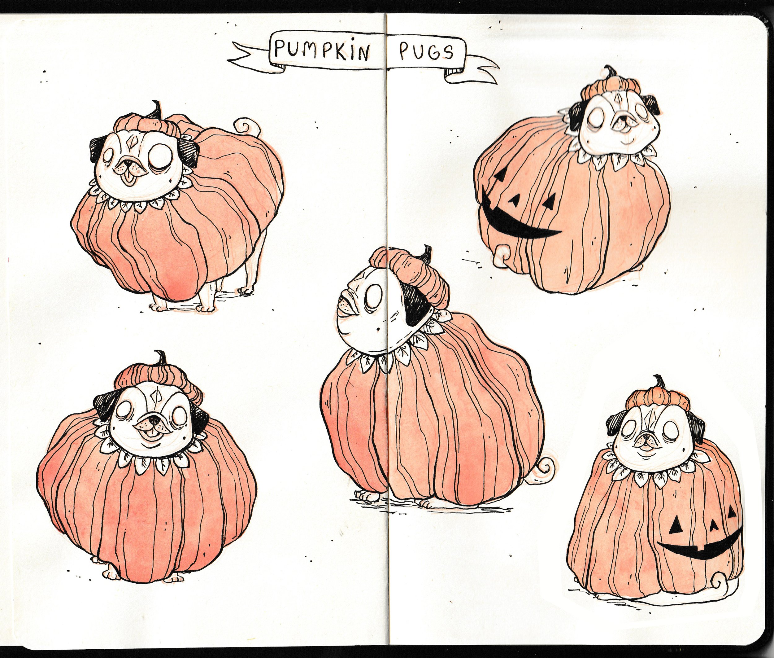 pumpkinpugs.jpg