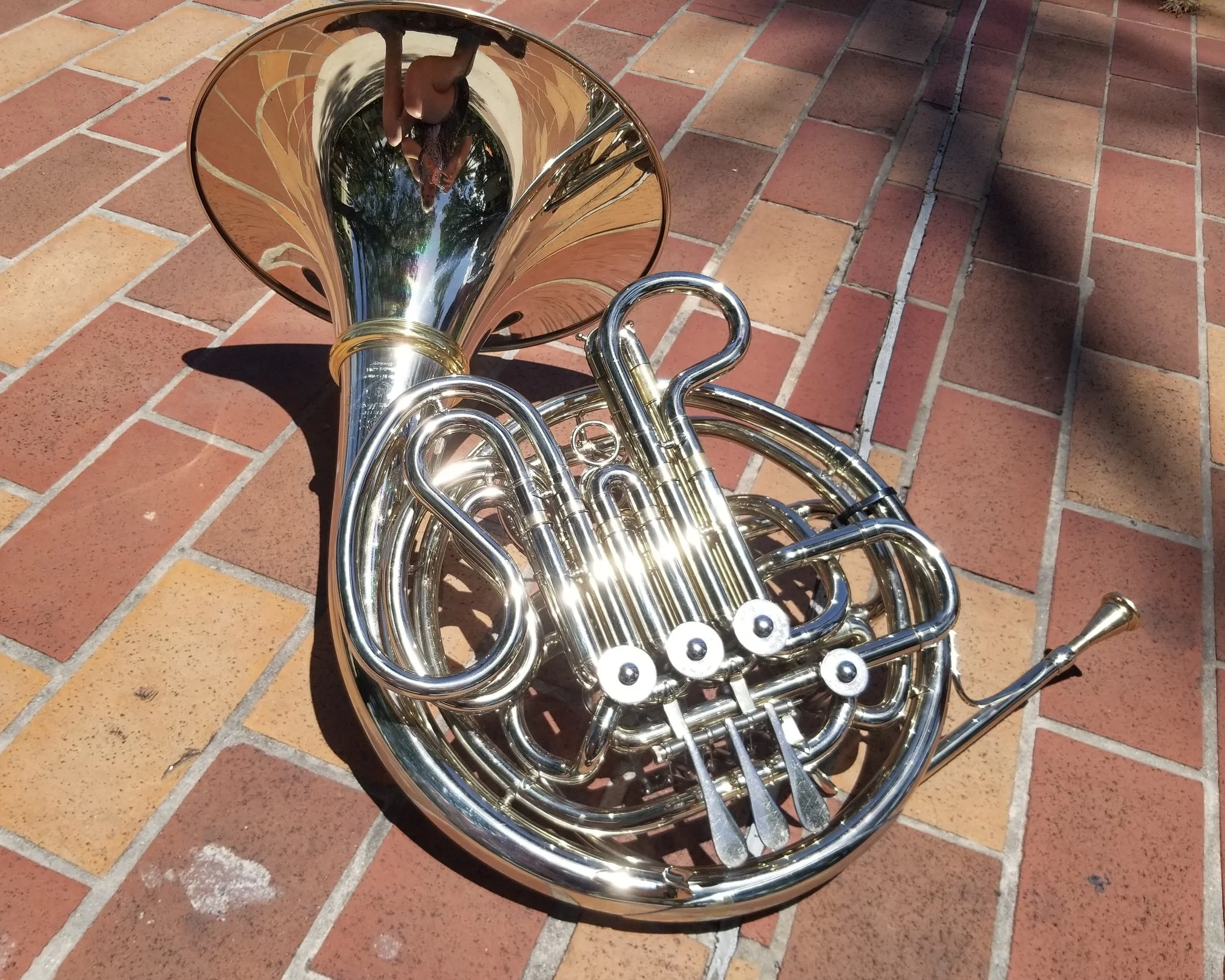 Hoyer6801a.jpg