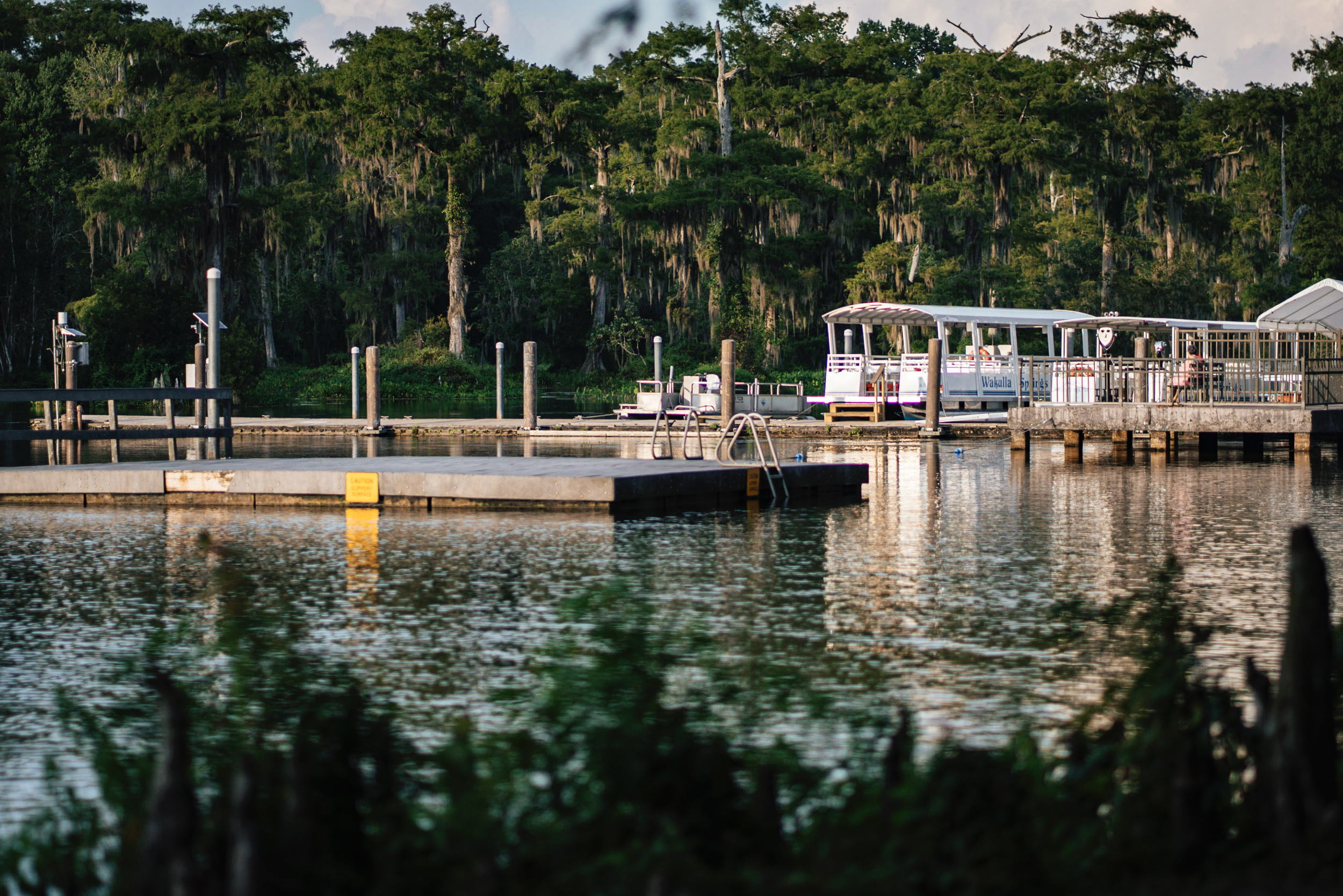 Screen Shot 2026-01-28 at 12.01.09 PM.png