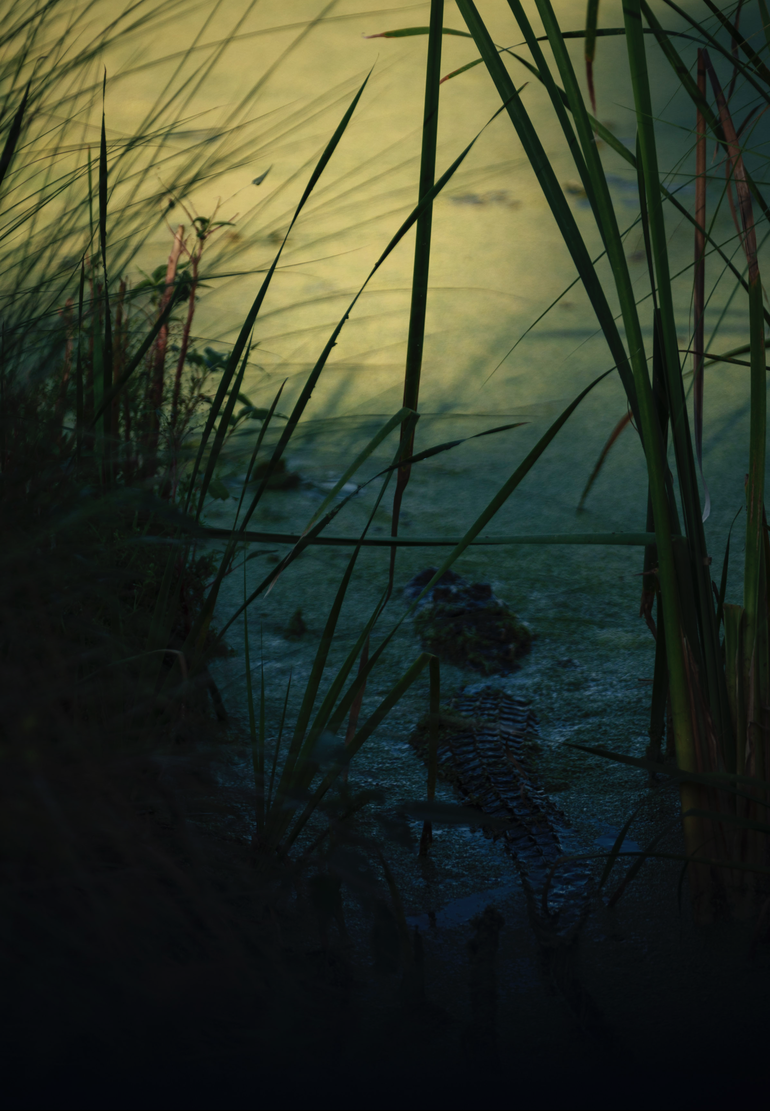 Screen Shot 2026-01-28 at 12.04.25 PM.png