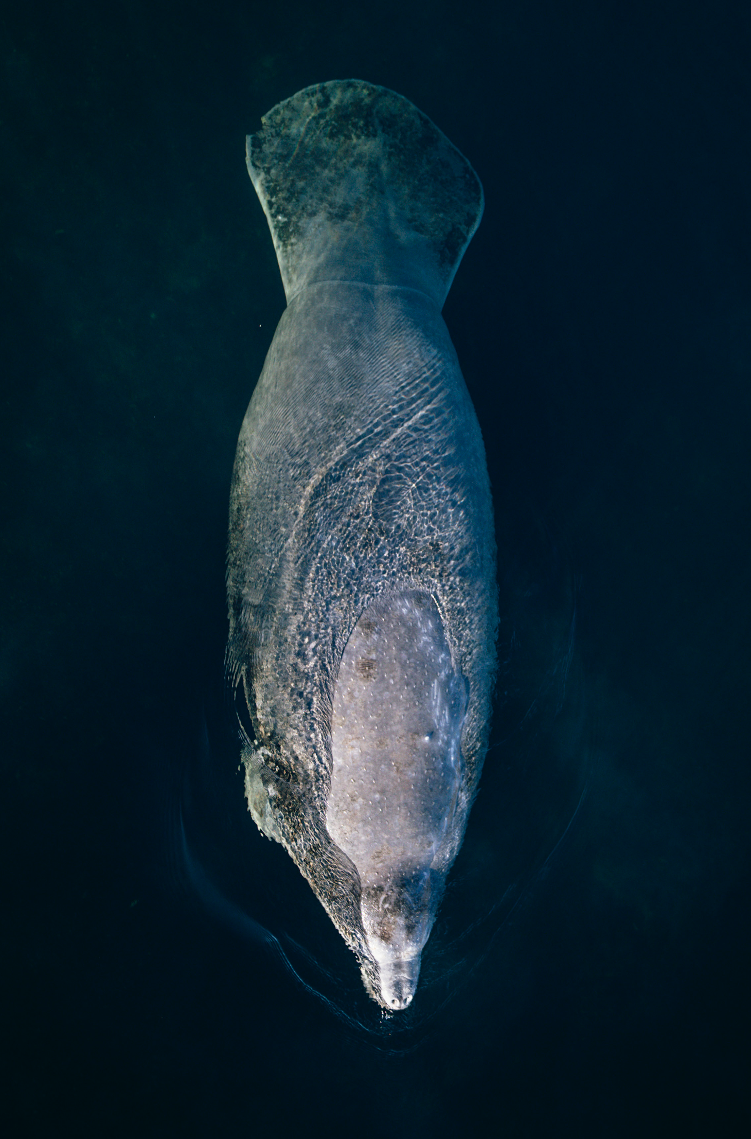 Screen Shot 2026-01-28 at 12.06.33 PM.png