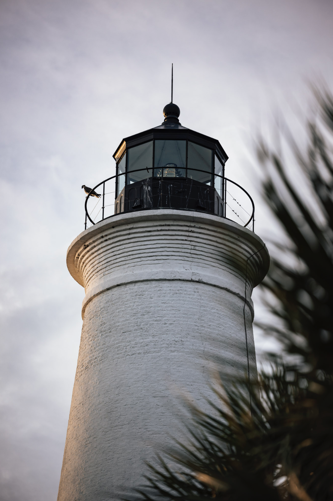 Screen Shot 2026-01-28 at 12.08.33 PM.png