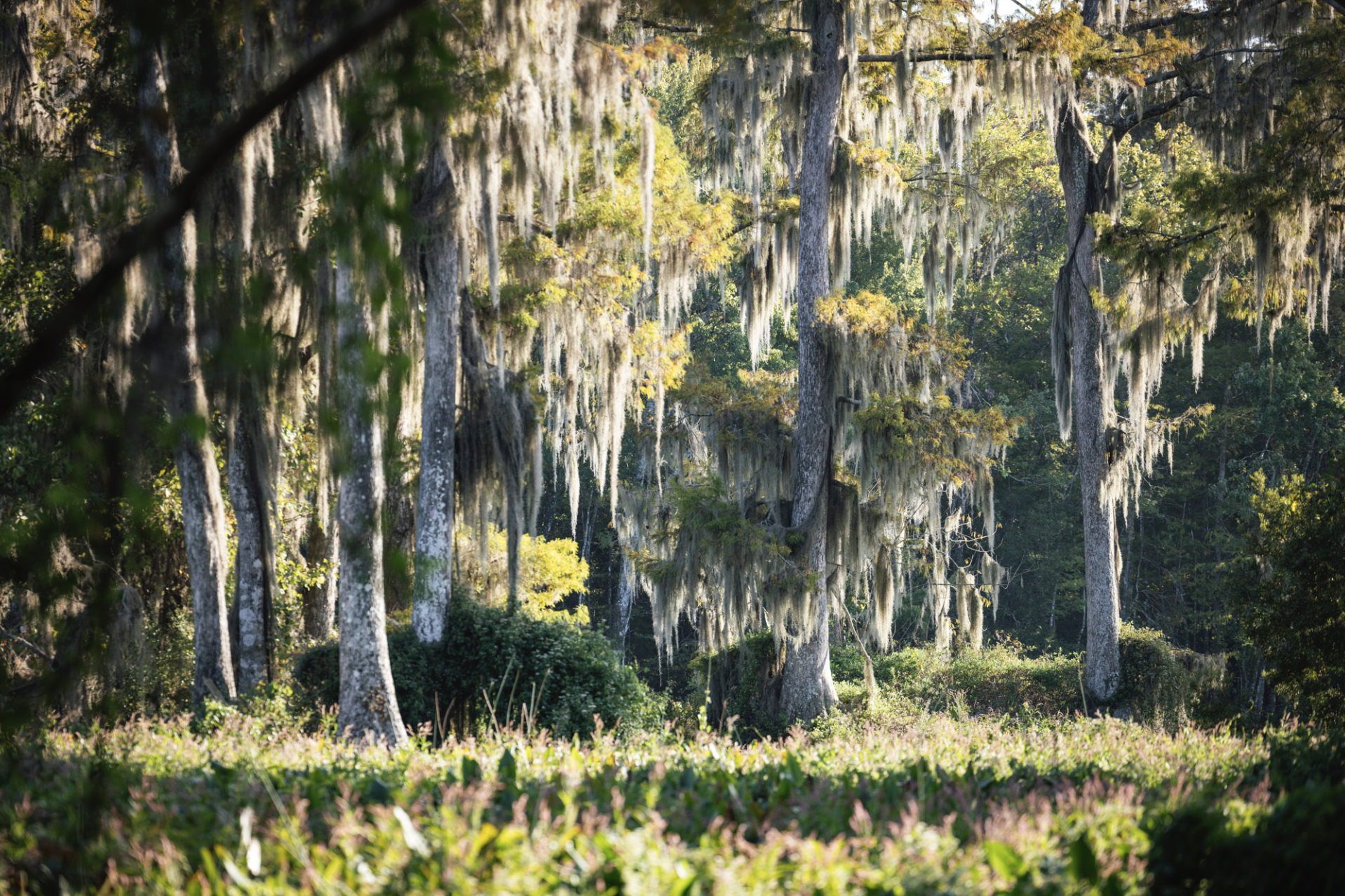 Screen Shot 2026-01-28 at 12.09.18 PM.png