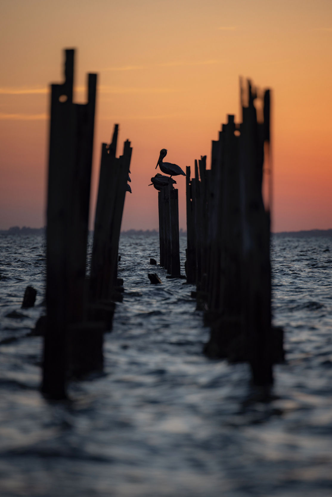 Screen Shot 2026-01-28 at 12.10.24 PM.png