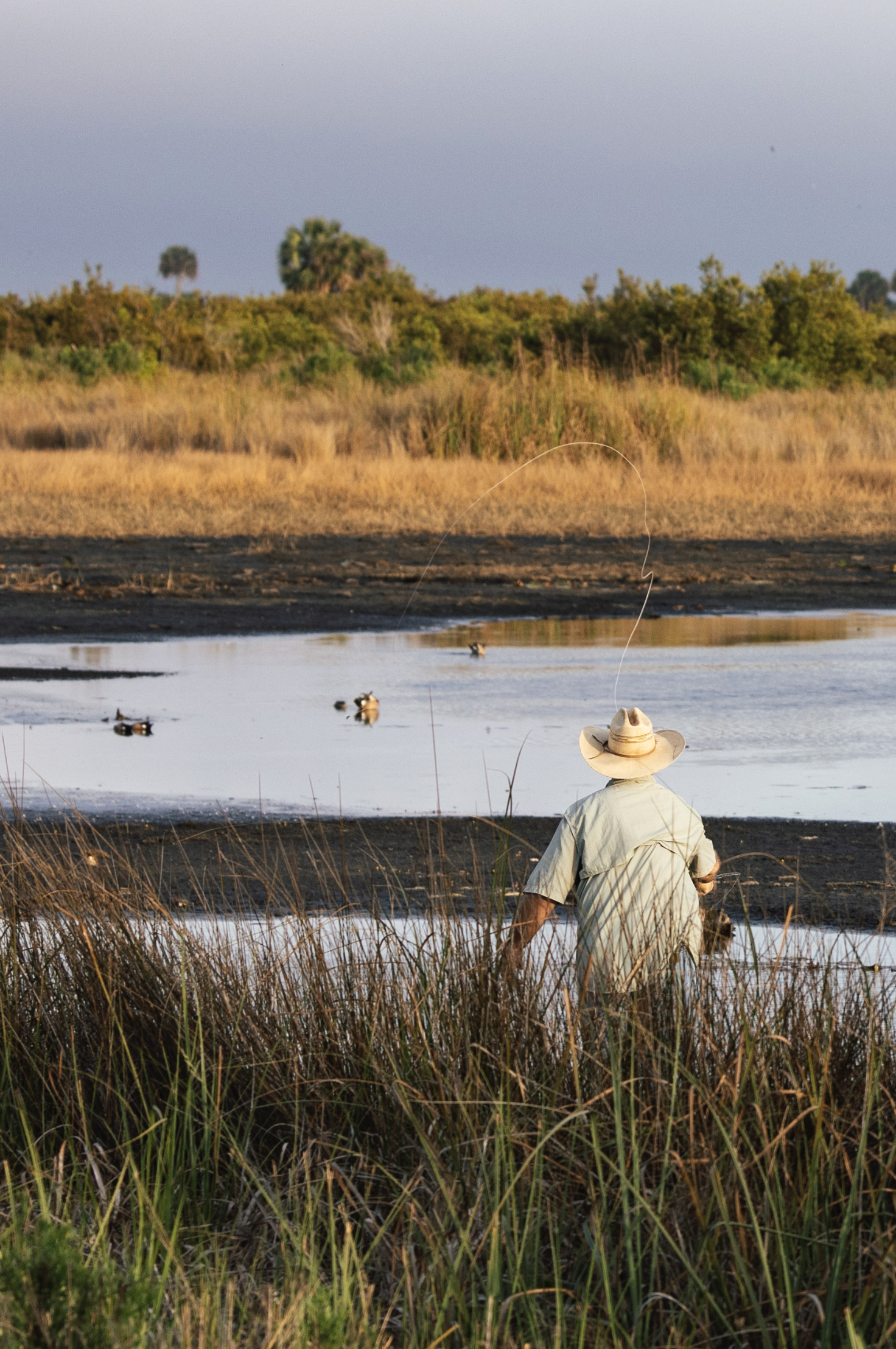 Screen Shot 2026-01-28 at 12.10.39 PM.png