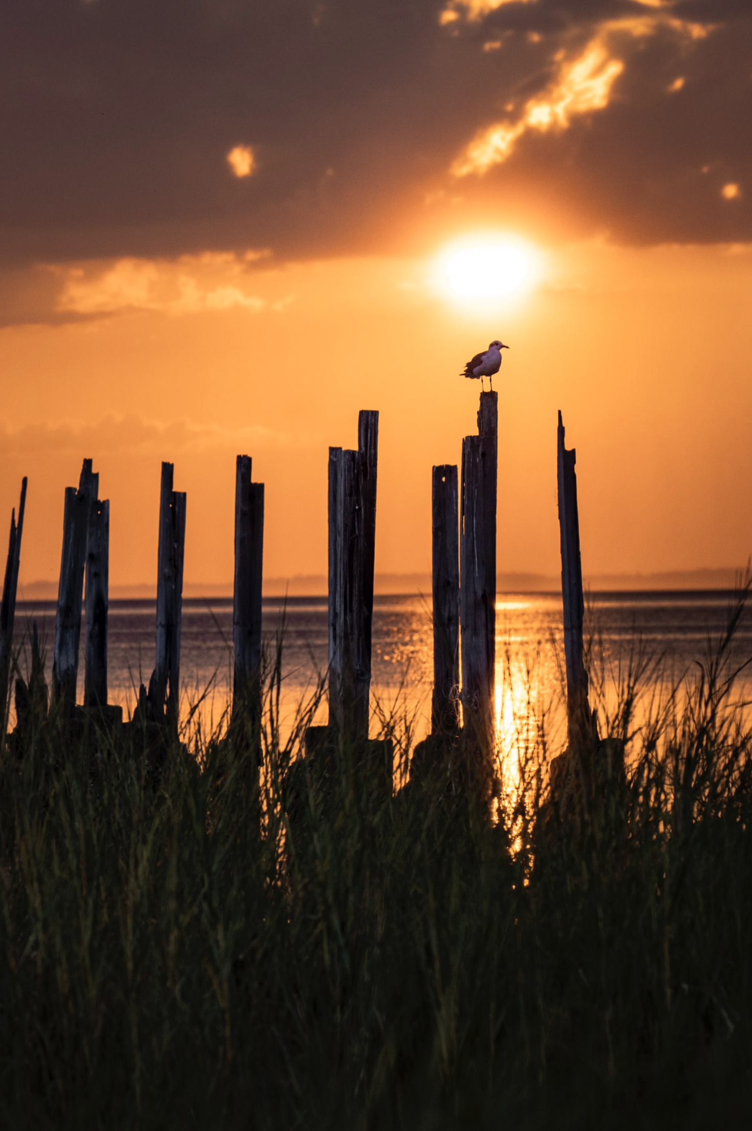 Screen Shot 2026-01-28 at 12.15.09 PM.png