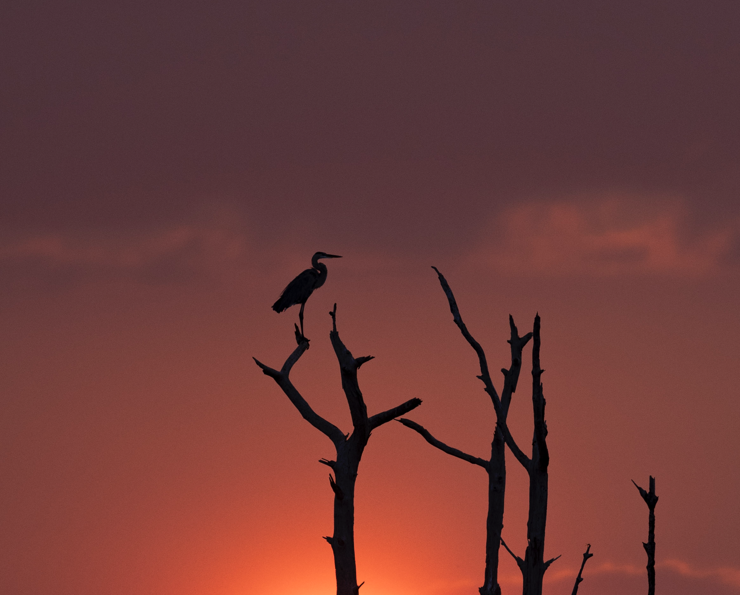 Screen Shot 2026-01-28 at 12.15.25 PM.png