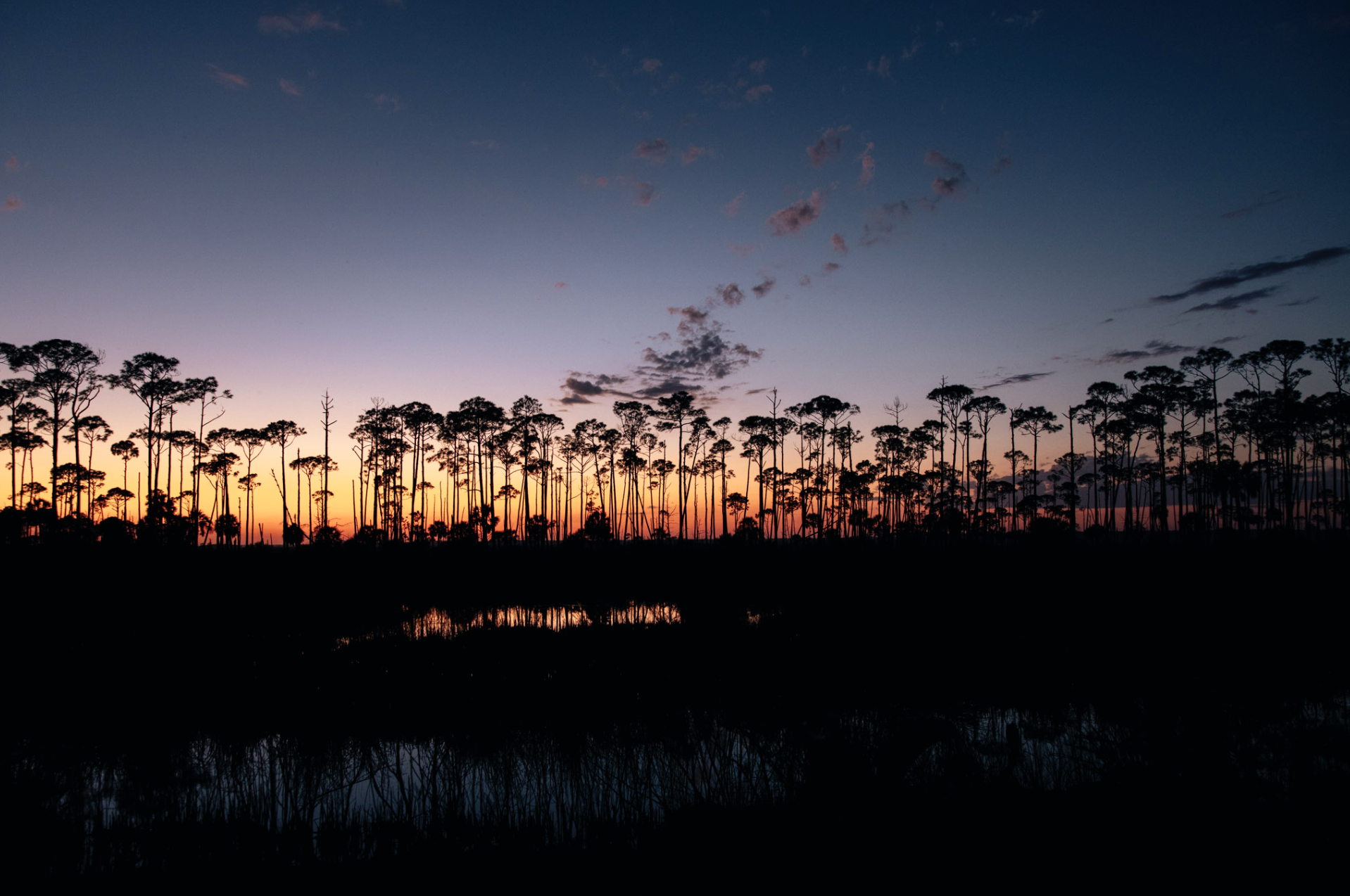 Screen Shot 2026-01-28 at 11.13.34 PM.png