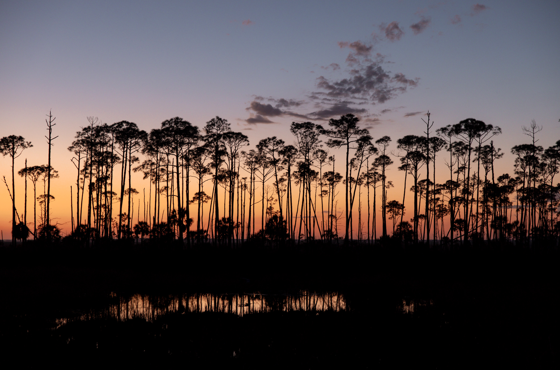 Screen Shot 2026-01-28 at 11.13.45 PM.png