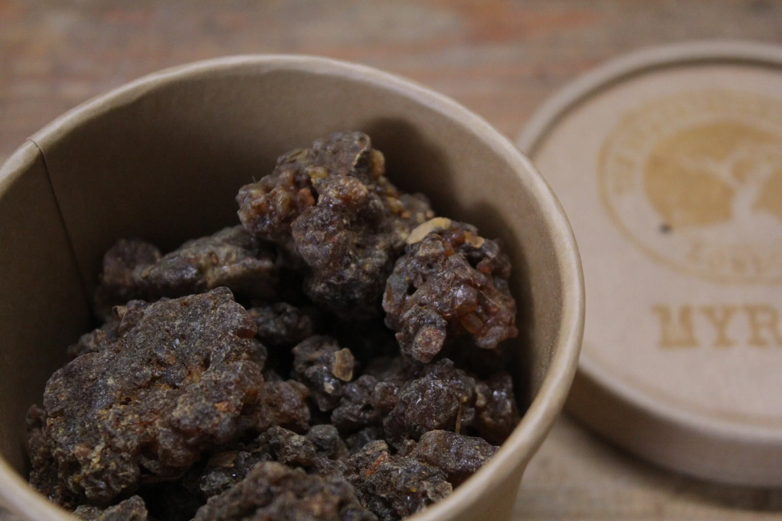 C7B21721-9B61-4ACA-940F-024F39F83A01