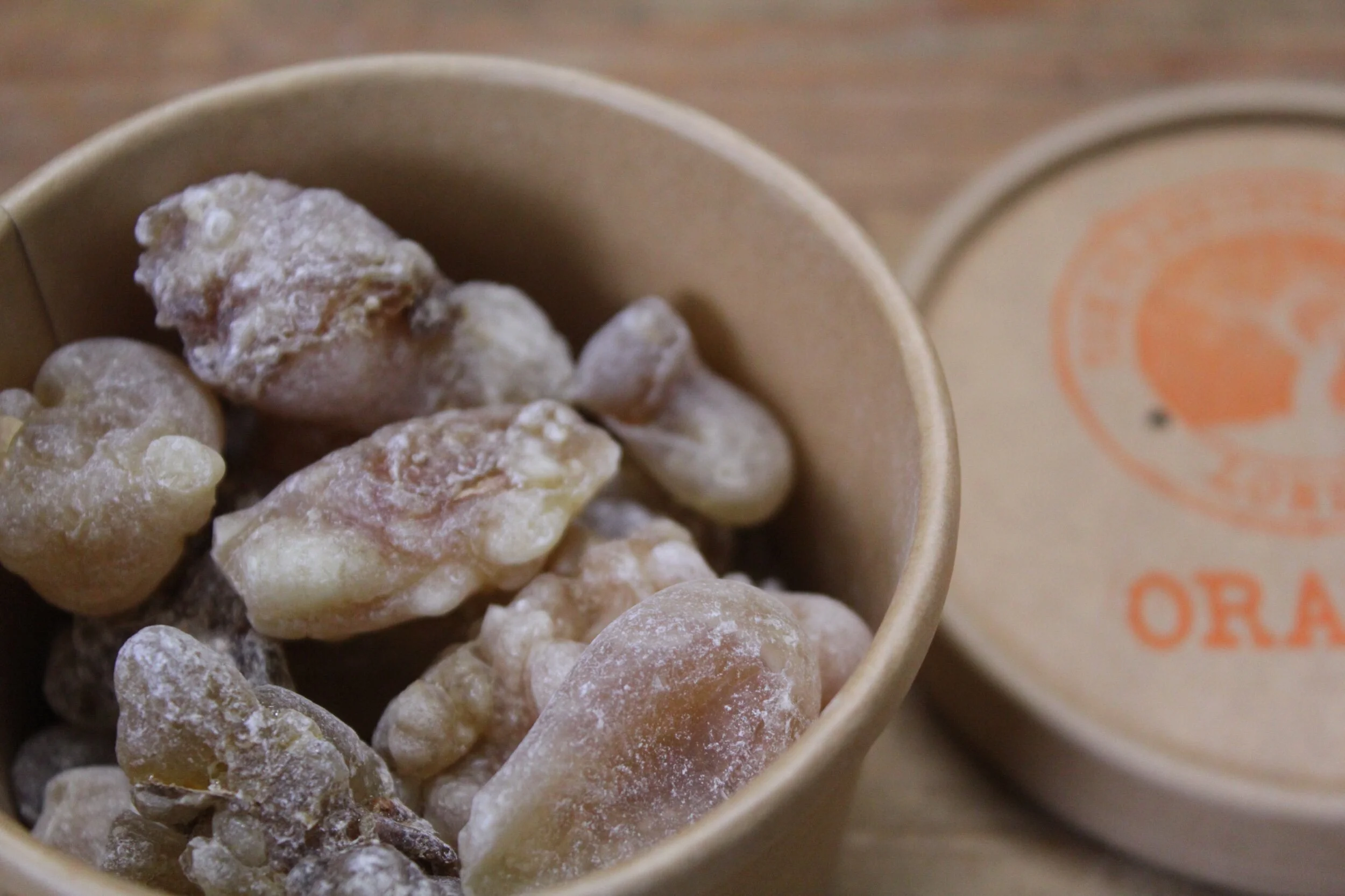 8A5A679F-7FB4-40DD-9823-A2B9BDD972BF