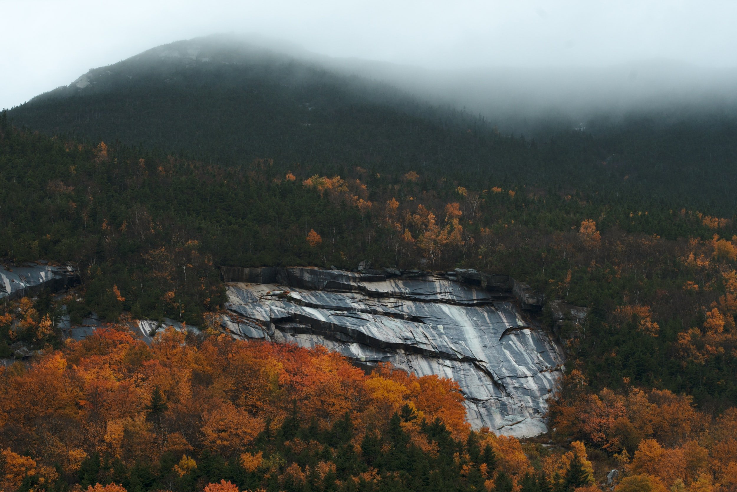 unsplash-image-ntAfBUzn3l8.jpg