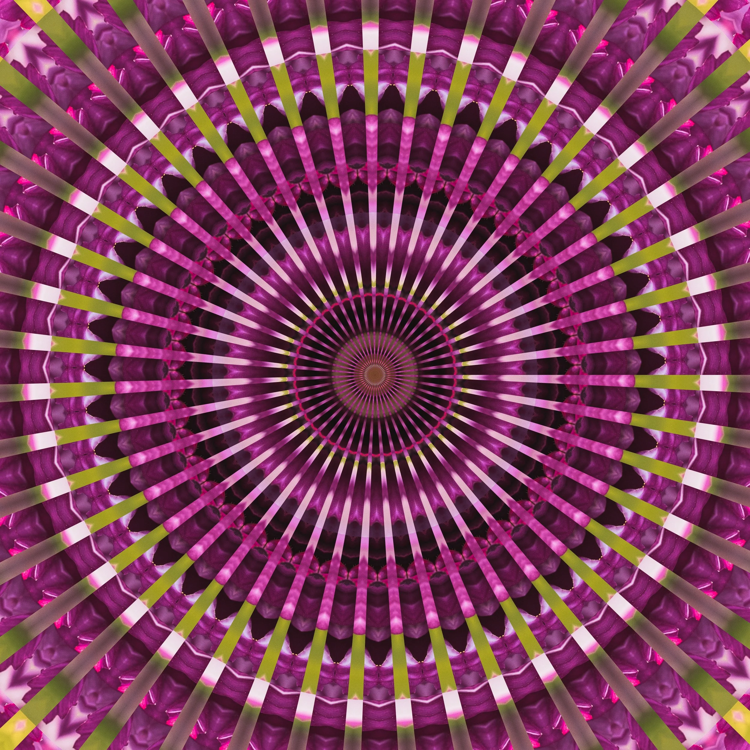 2022-Half Moon Blooms -Mandala 2.jpg