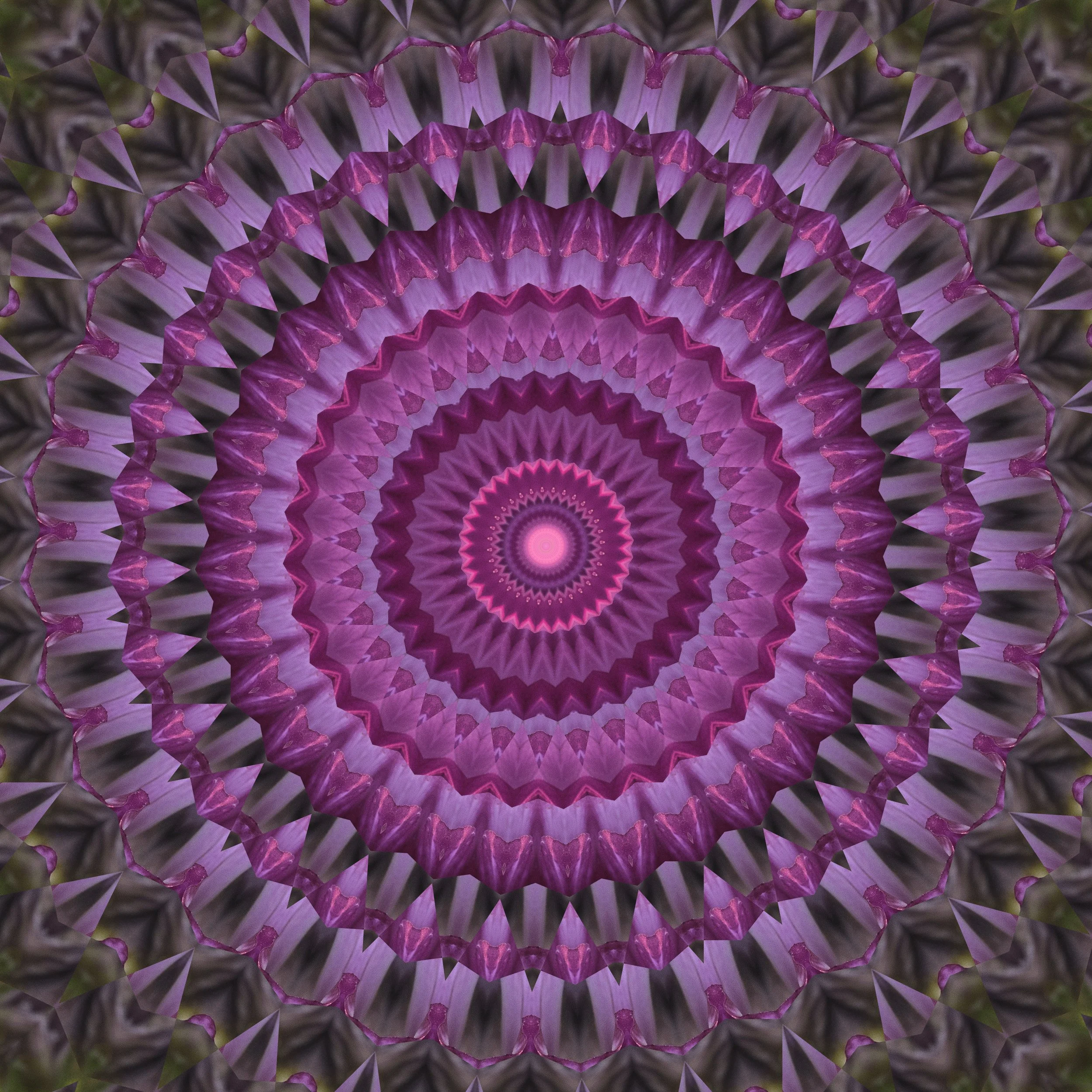 2022-Half Moon Blooms -Mandala 3.jpg